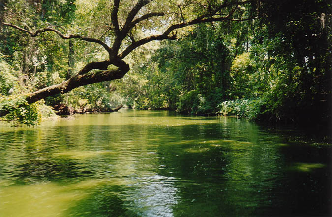 Florida_river