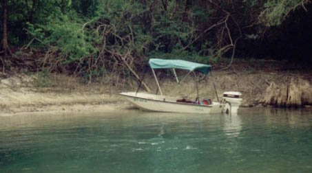 Florida_springs