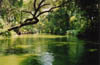 Florida_river