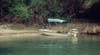 Florida_springs