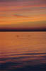 Gulf_coast_sunset