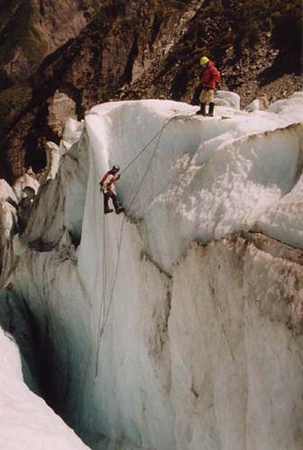 Fox_Glacier