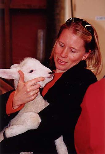 NZ_lamb